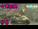 自分で集めろ【ゼルダの伝説 ティアーズ オブ ザ キングダム】Part8