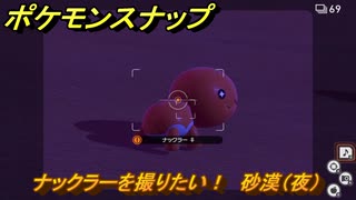 ポケモンスナップ　ナックラーを撮りたい！　砂漠（夜）調査レベル１　＃２２　【New ポケモンスナップ】