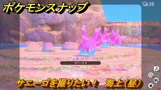 ポケモンスナップ　サニーゴを撮りたい！　海上（昼）調査レベル１　＃２７　【New ポケモンスナップ】