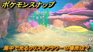 ポケモンスナップ　海中で光るクリスタフラワーの場所は？　＃３４　【New ポケモンスナップ】