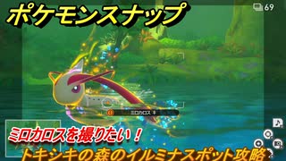 ポケモンスナップ　トキシキの森のイルミナスポット攻略　ミロカロスを撮りたい！　＃３８　【New ポケモンスナップ】