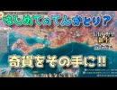 ＜信長の野望・新生PK＞死線の踏み込み（阿蘇家、第13話）