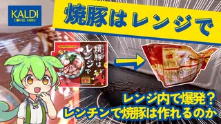 【爆発注意】レンチンで焼豚は作れるのか【ずんだもん】