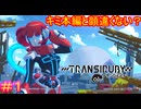 【トランシルビィ#1】傑作インディーゲームをやろう会　～第一弾：トランシルビィ編～