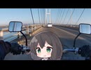次の動画について