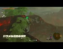 #173【ゼルダの伝説 ティアーズ オブ ザ キングダム】暗号は後回しにして地底行こうよ！