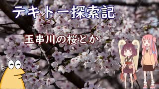 【photolog vlog】テキトー探索記 玉串川の桜とか