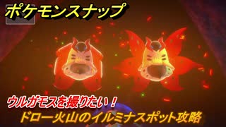 ポケモンスナップ　ドロー火山のイルミナスポット攻略　ウルガモスを撮りたい！　＃４１　【New ポケモンスナップ】