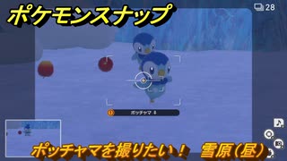 ポケモンスナップ　ポッチャマを撮りたい！　雪原（昼）調査レベル１　＃４４　【New ポケモンスナップ】