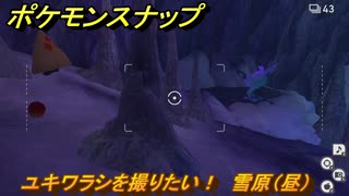 ポケモンスナップ　ユキワラシを撮りたい！　雪原（昼）調査レベル２　＃４５　【New ポケモンスナップ】