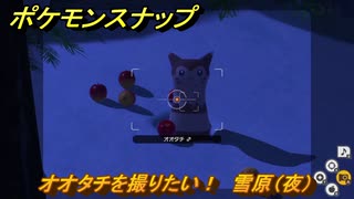 ポケモンスナップ　オオタチを撮りたい！　雪原（夜）調査レベル１　＃４７　【New ポケモンスナップ】