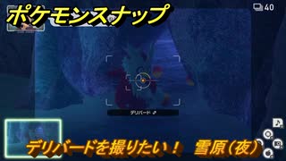 ポケモンスナップ　デリバードを撮りたい！　雪原（夜）調査レベル２　＃４８　【New ポケモンスナップ】