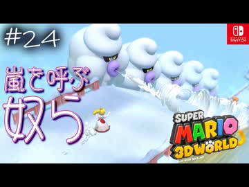 【姫猫実況24】息にもマケズ、風にもマケズ【スーパーマリオ 3Dワールド】