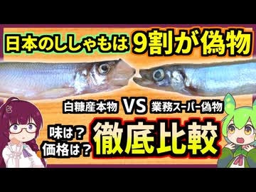 日本のシシャモは9割が偽物!白糠で獲れた本物と代替品の違いを徹底比較！【釧路のずんだもん】