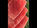 76759704984__5F57C891-3342-433C-9EC4-F4FF2F41019D