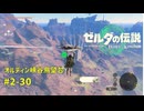 【ティアキン】ゼルダの伝説ティアーズオブザ キングダム2周目　#2-30 オルディン峡谷鳥望台