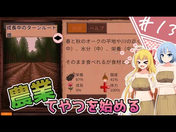 【Card Survival: Fantasy Forest】サバイバル、スタンバイ！/第13話【ゆっくり実況プレイ】