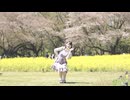 【塩素さくら】春に一番近い街 踊ってみた【桜】