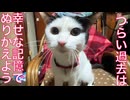 元・多頭崩壊からのレスキュー猫、忘れじの甘えの記憶