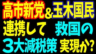 高市新党＆玉木国民が連携して、救国の3大減税策を実現か？【後編】2025／4／19①