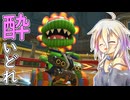 酔いどれドライバーセイカさん #705【マリオカート8DX】
