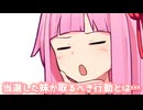 姉妹の絆を確かめます！
