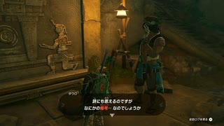 #172【ゼルダの伝説 ティアーズ オブ ザ キングダム】暗号のような感じだけどよくわからん！
