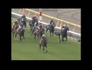 2008 京王杯スプリングカップ (GⅡ)　スーパーホーネット