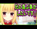 【ハミダシクリエイティブ】482　心優しい家族想いな妹の姿にキュンキュンしちゃう生徒会メンバー達