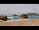 Going to the beach□ 藤野孝紘