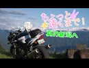 ちょっと遠くまで！夏の新潟へ