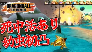 【DBTB】金セルのSランク昇格戦にとっておきの奇策【ゆっくり実況】