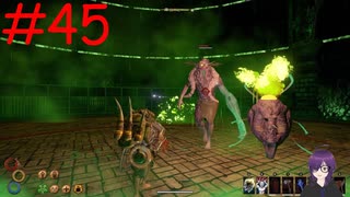 【実況】常に死と隣り合わせの過酷な世界を生き抜く【Outward Definitive Edition】part45