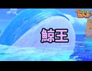 急浮上！ホエルオーのデカさに驚愕せよ！【Newポケモンスナップ】♯7