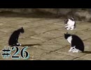 【FE風花雪月】三つの国、三つの学級、そして脛毛 Part26【初見実況】