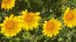IMG_8169