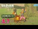 【ゼルダの伝説BotW】初めてのブレワイ！折れない心で未知の世界へ！#56【実況】