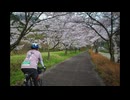 2025桜のAACR前編