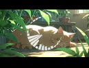 Lo-Fi BGM｜In a corner of my heart I cry｜心の片隅で泣いている