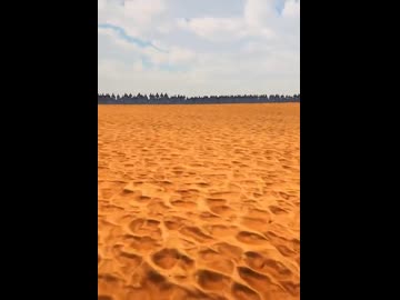 ホモと見る1万頭のゴリラ対100万人の人間