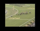 2004 天皇賞 (春) (GⅠ)　イングランディーレ