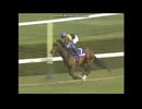 2006 天皇賞 (春) (GⅠ)　ディープインパクト