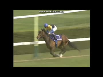 ディープインパクト天皇賞(春)ポスター 2025天皇賞春ポスター｜日本サイン競馬会