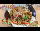 【ARIA家鉄道旅行記】第八弾『激動の就活生編』中編