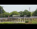 2025年4月29日_笠松競馬_1R_アニメシングレ笠松競馬コラボ賞