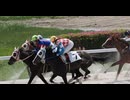 2025年4月29日_笠松競馬_2R_踊れ踊れやカサマツ音頭記念