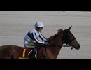 2025年4月29日_笠松競馬_9R_ウマ娘ベルノライト賞_馬場入場