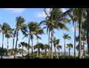 野原悠樹の旅ログ