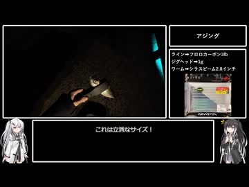 アリミリ姉妹の淡路島海釣り日記Part.24