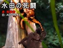 水田の死闘.ai